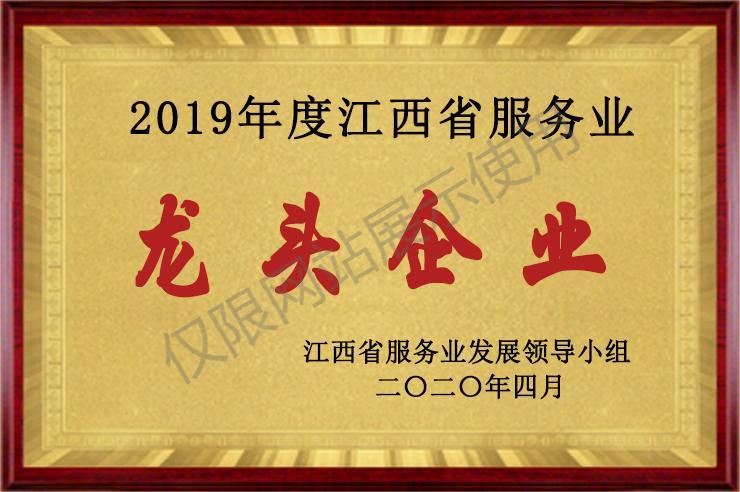 江西省服务业龙头企业